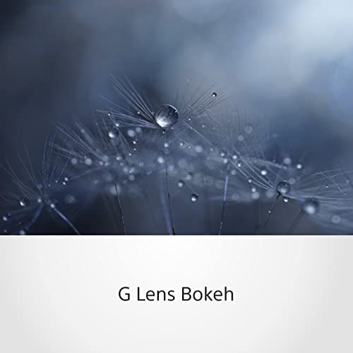 sony-sel90m28g-fe-90mm-f2-8-macro-g-oss-vollformat-makroobjektiv-mit-bildstabili image 8
