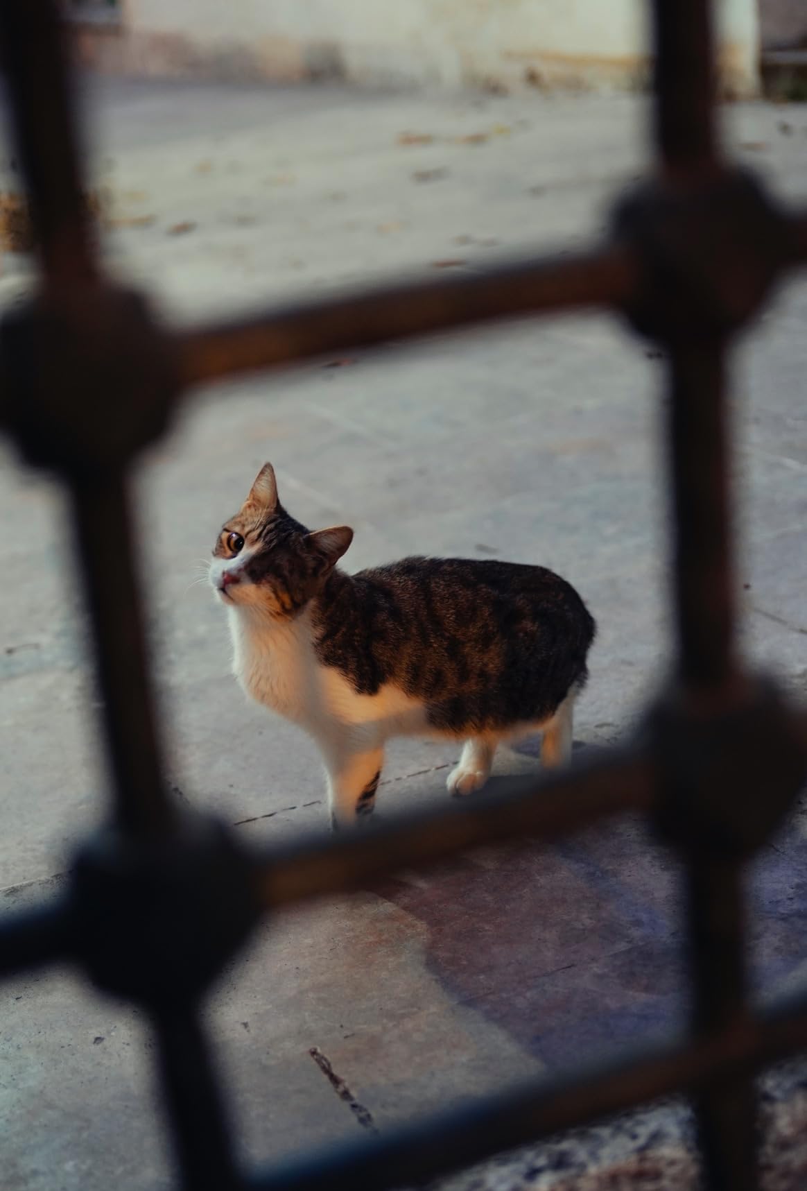Sehr gut, Bokeh ordentlich