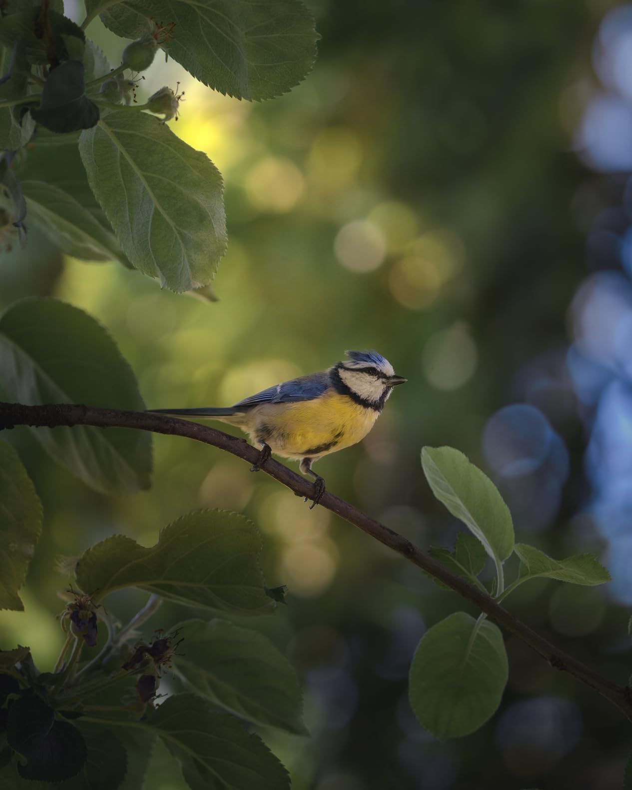 Sehr zufrieden als Hobbyfotografin