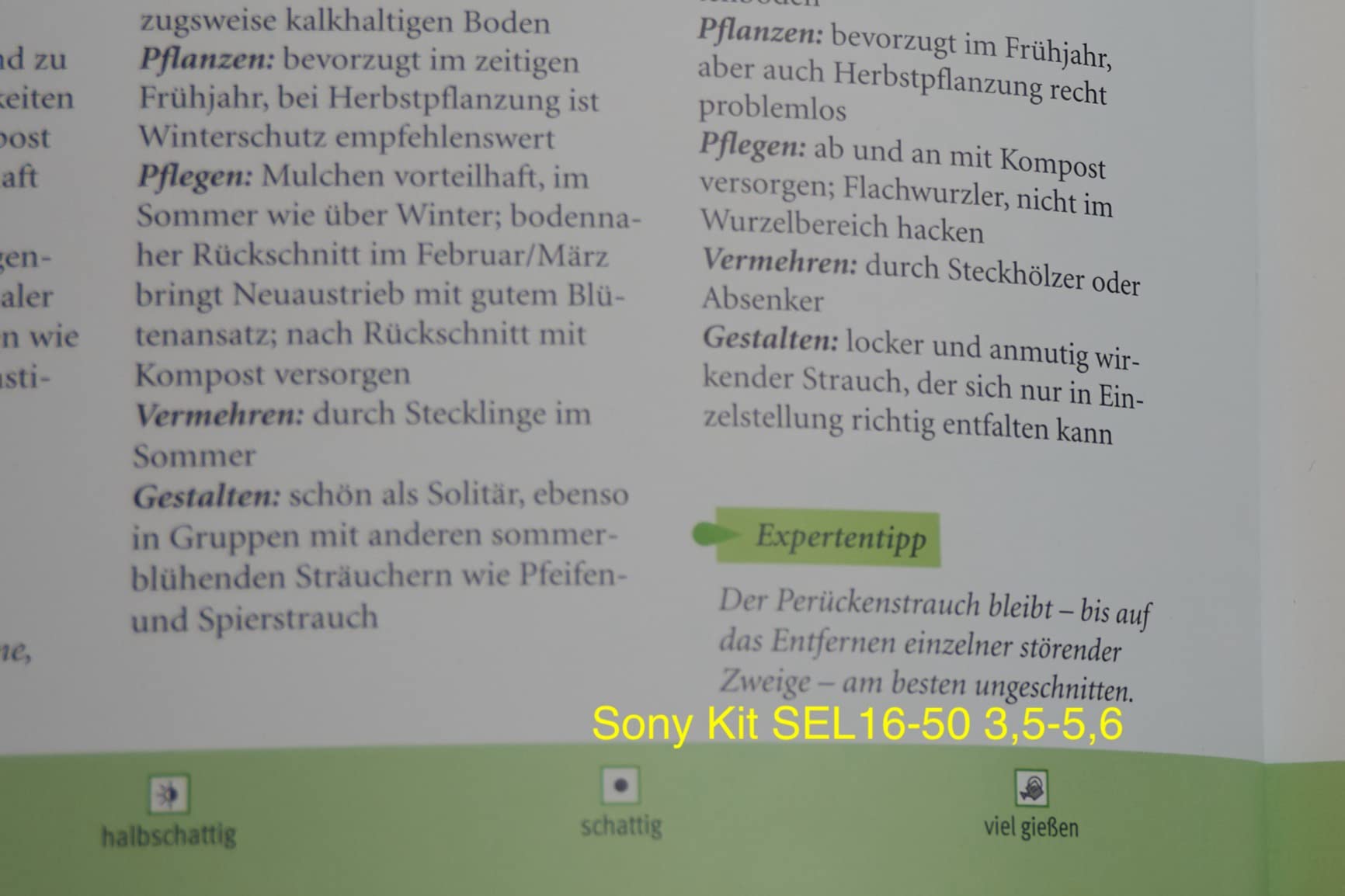 Staub im Objektiv