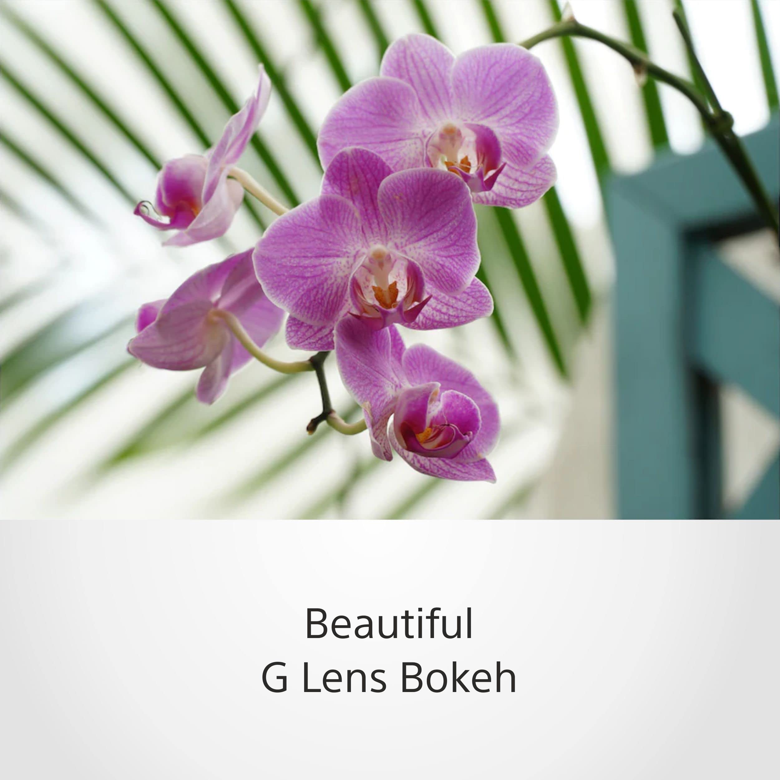 sony-selp18105g-18-105mm-f4-g-oss-powerzoom-objektiv-aps-c-e-mount-konstante-ble image 4