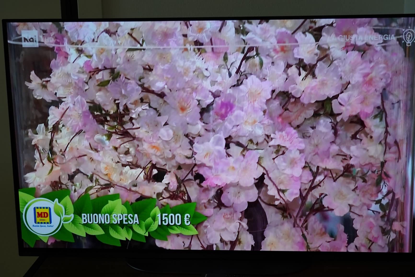 Kompakte OLED-Perle