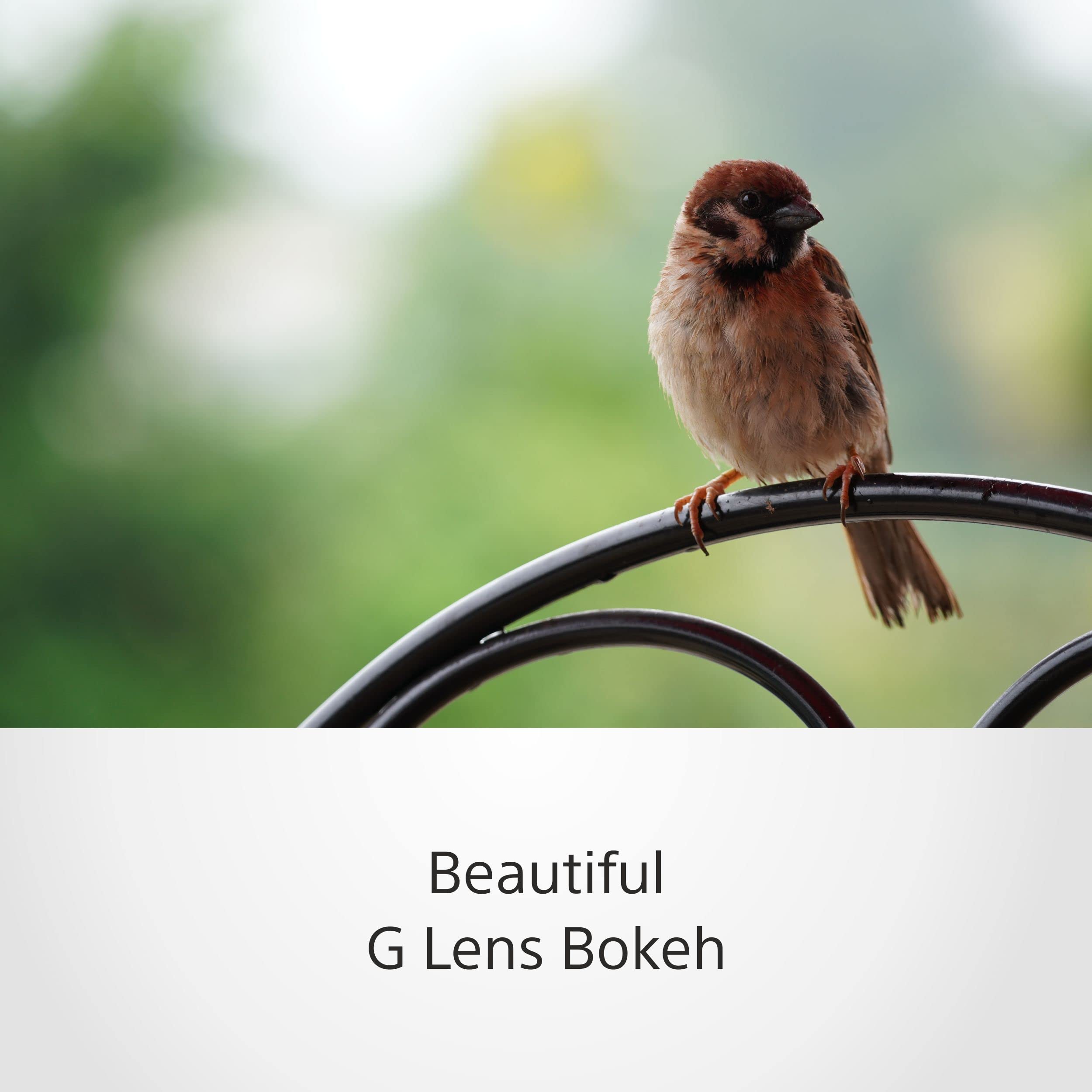 sony-sel70350g-70-350-mm-f4-5-6-3-g-oss-supertele-zoom-aps-c-e-mount-teleobjekti image 3
