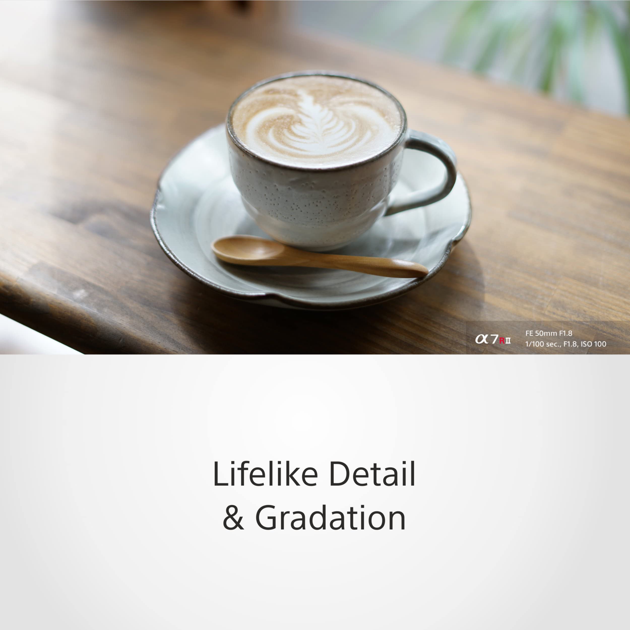 sony-fe-50mm-f-1-8-sel-50f18f-festbrennweite-ohne-bildstabilisator-f-r-sony-e-mo image 4