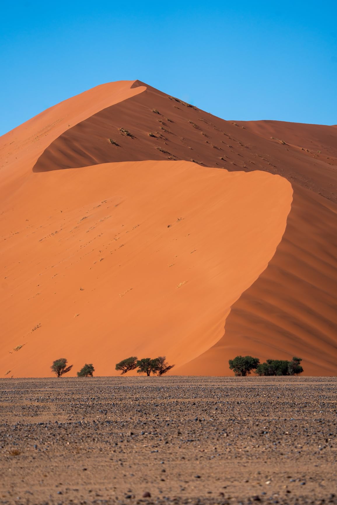 Stark, aber Crop bei 4K 60p