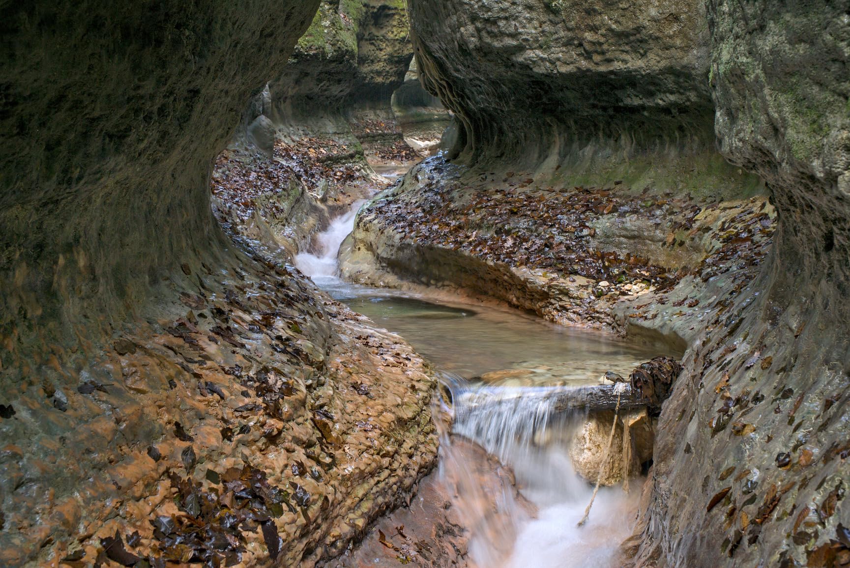 Für Video top, für Foto eher Durchschnitt