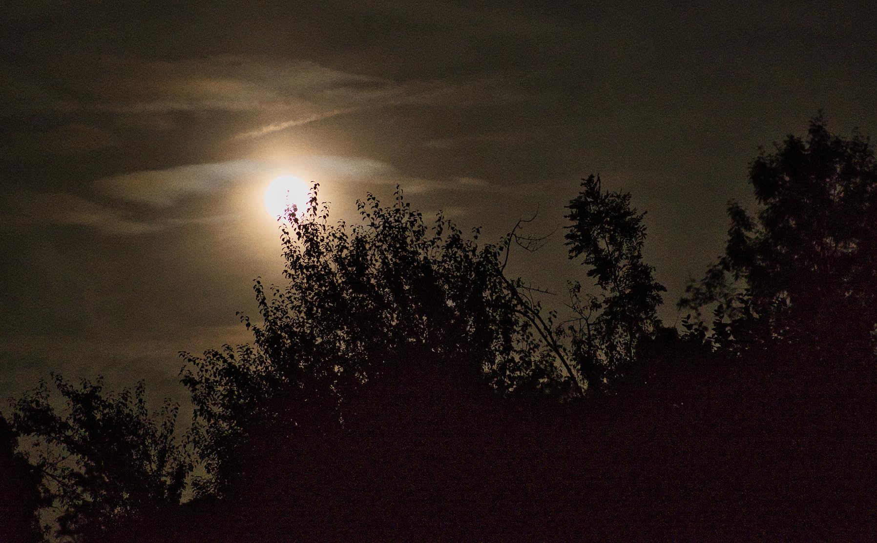 Upgrade von der A6000