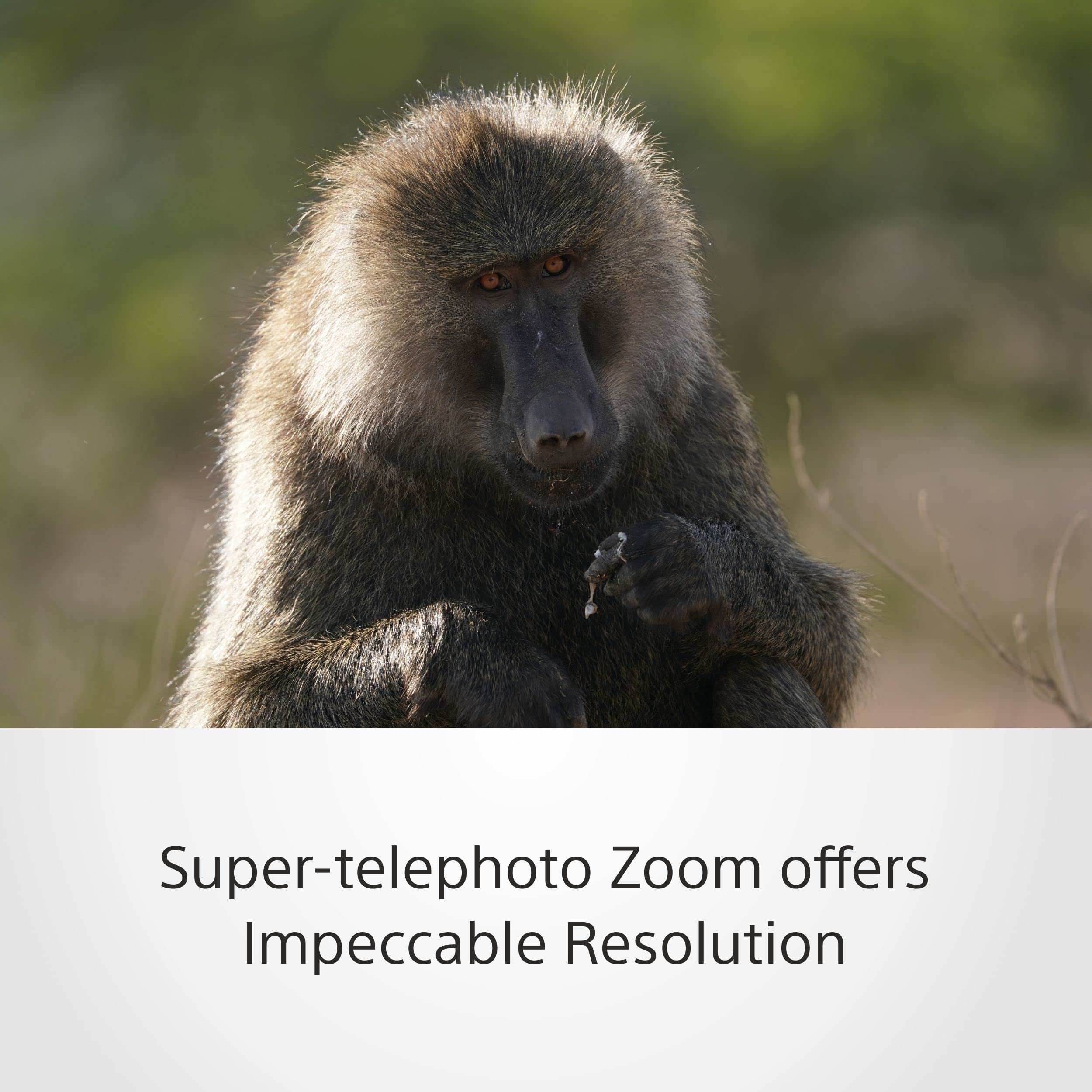 sony-sel200600g-fe-200-600mm-f5-6-6-3-g-super-telezoomobjektiv-e-mount-ed-glas-i image 3