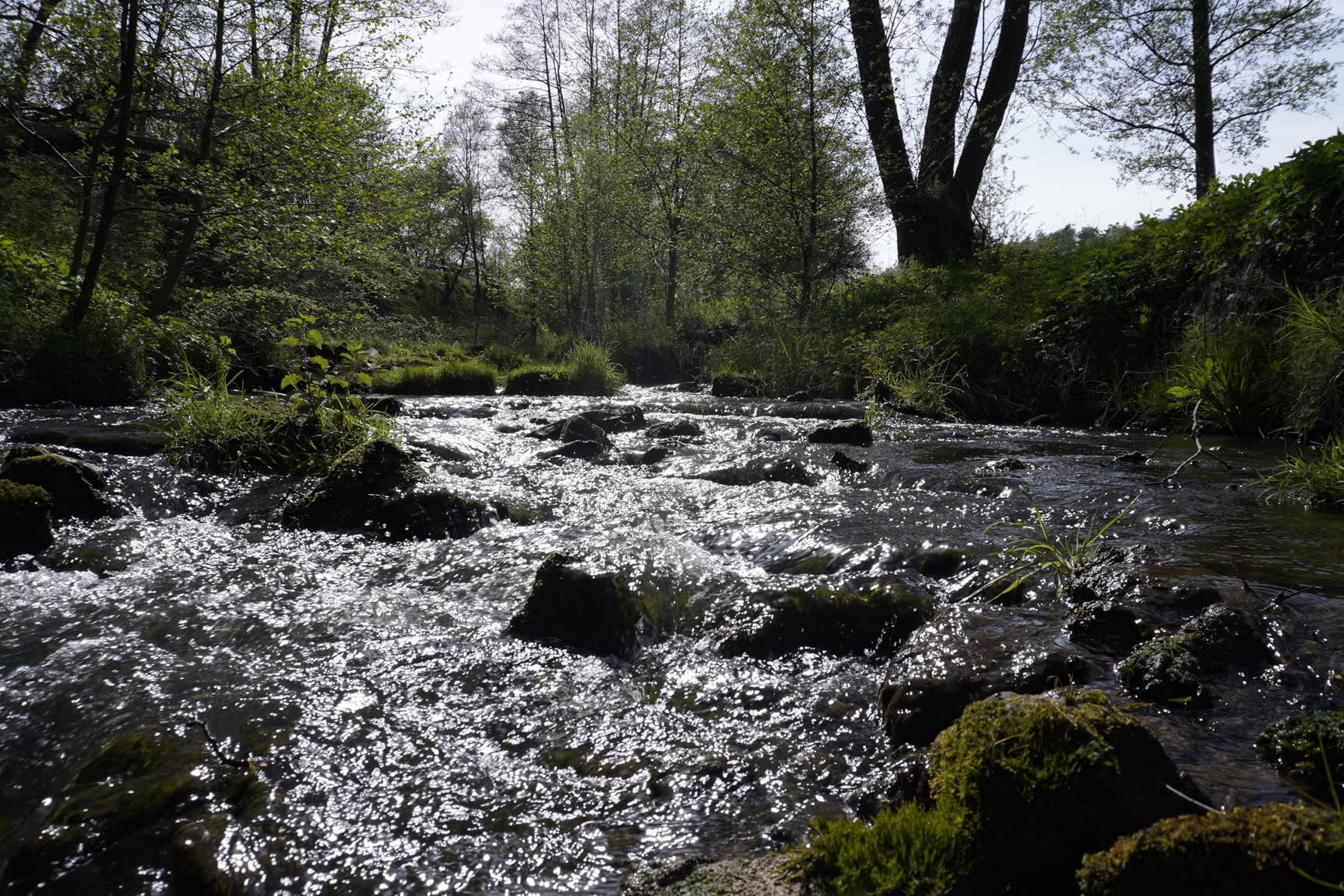 Einstieg in die spiegellose Welt