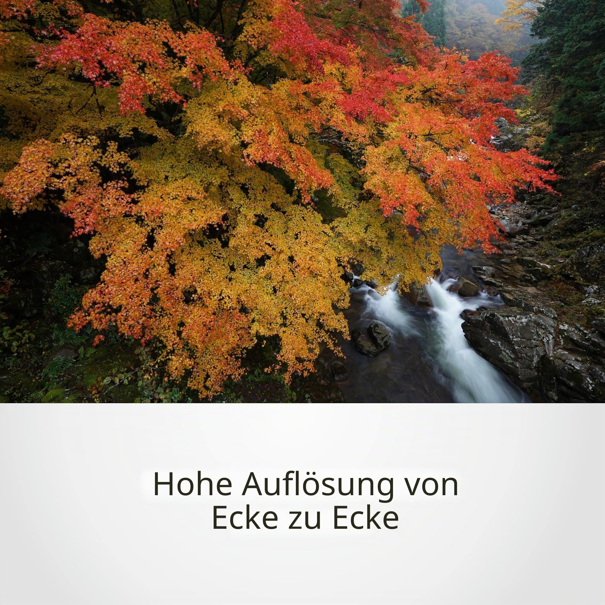 sony-sel1635gm-16-35mm-f2-8-g-master-weitwinkel-zoom-e-mount-vollformat-objektiv image 6